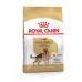 Фураж Royal Canin German Shepherd Adult 11kg Для взрослых Курица рис Растительный птицы 11 Kg