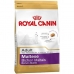 Φαγητό για ζώα Royal Canin Ενηλίκων Καλαμπόκι Πουλιά 500 g