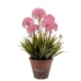 Decorative Plant Ibergarden 20801 Cork Ceramic Plastic 24 x 43 x 24 cm (8 Units)