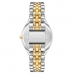 Horloge Dames Nine West NW_2661SVTT