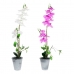 Plante décorative DKD Home Decor Grès Orchidée 21 x 21 x 82 cm (2 Unités) (12 Unités)