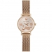 Reloj Mujer Pierre Cardin CCM-0501