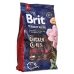 Fôr Brit Premium Voksen Kylling 3 Kg