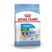 Φαγητό για ζώα Royal Canin Mini Puppy Κουτάβι / Junior Κοτόπουλο ρύζι Πουλιά 2 Kg