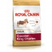 Krma Royal Canin Cavalier King Charles Odrasla osoba 1,5 Kg