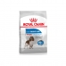 Fodder Royal Canin Medium Light Weight Care Adult Meat Birds 3 Kg