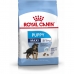 Fodder Royal Canin Maxi Puppy Kid/Junior Chicken Rice Birds 4 Kg