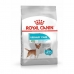 Penso Royal Canin Mini Urinary Care Adulto Milho Pássaros 3 Kg