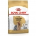 Fôr Royal Canin Yorkshire Terrier 8+ Fugler 3 Kg