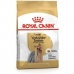 Futter Royal Canin Yorkshire Terrier 8+ Vögel 3 Kg