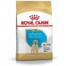 Fodder Royal Canin Kid/Junior Chicken 3 Kg