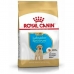 Píce Royal Canin Mládě/junior 3 Kg