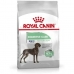 Fodder Royal Canin Adult Chicken Rice Birds 3 Kg