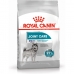 Foder Royal Canin Joint Care Voksen Kylling 10 kg