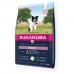 Foder Eukanuba Pupopy Small & Medium Barn/Junior Lam Ris 2,5 kg