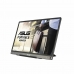 Écran Asus MB16ACE Full HD 15,6