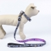 Hundehalsband Disney Grau XS/S