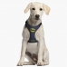 Arnês para Cães Batman XXS/XS Azul