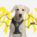 Arnês para Cães Batman XXS/XS Azul