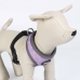 Dog Harness Disney XXS/XS Grey