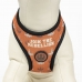 Hundesele Star Wars Vendbar Sort M