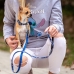 Dog Lead Stitch Grey Blue M