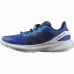 Herren-Sportschuhe Salomon Dazzling Hypulse Blau