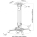 Pulpit Techly ICA-PM 18S