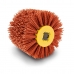 Brosse pour rénovateur de surface Scheppach MRS1300 Nylon