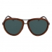 Gafas de Sol Hombre Ralph Lauren RL7053-900371 ø 59 mm