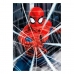 Puzzle Spiderman Educa 18486 500 Darabok