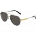 Herrensonnenbrille Dolce & Gabbana DG 2288