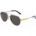 Vyriški akiniai nuo saulės Dolce & Gabbana DG 2288