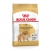 Fodder Royal Canin Pomeranian Adult Vegetable Birds 3 Kg