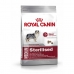 Мисля Royal Canin Medium Sterilised Възрастен Царевица Птици 3 Kg 3,5 g