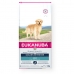 Foder Eukanuba Golden Retriever Vuxen Kyckling 12 kg