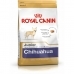 Rehu Royal Canin Breed Chihuahua Junior Lapset / junior 1,5 Kg