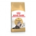 Cat food Royal Canin Persian Adult Adult Rice Vegetable Birds 10 kg