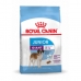 Fôr Royal Canin Giant Junior 15 kg Barn/Junior