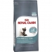 Cibo per gatti Royal Canin Adulto Pollo Riso Mais Vegetale Uccelli 10 kg