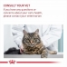 Aliments pour chat Royal Canin Adulte Poulet Riz Maïs Légumes Oiseaux 10 kg