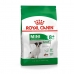 Foder Royal Canin Mini Adult 8+ Ældre Ris Vegetabilsk Fugle 8 kg