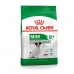 Krmivo Royal Canin Mini Adult 8+ Senior Rastlinný Vtáky 8 kg