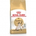 Comida para gato Royal Canin Siamese Adulto Frango Pássaros 2 Kg