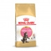 Mâncare pentru pisici Royal Canin Maine Coon Kitten 10 kg