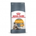 Jídlo pro kočku Royal Canin Hair & Skin Care Dospělý Kuře 10 kg