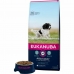 Voer Eukanuba Volwassen Kip 15 kg