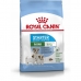 Fodder Royal Canin Starter Mother And Babydog Adult Chicken Birds 1 kg