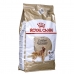 Fodder Royal Canin Golden Retriever Adult Adult Chicken Meat Birds 12 kg 12,5 Kg