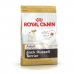 Φαγητό για ζώα Royal Canin Jack Russell Adult Ενηλίκων Κοτόπουλο ρύζι Πουλιά 1,5 Kg